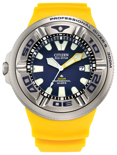 Promaster Dive 