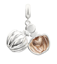 Load image into Gallery viewer, Love Potion Locket - 2025-1325