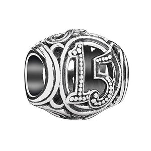 15 Milestone Charm - 2010-3317