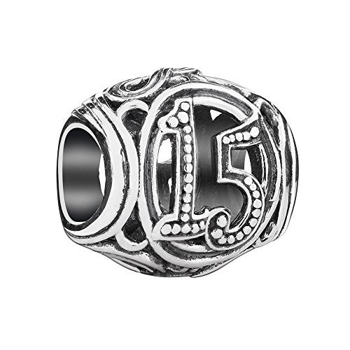 15 Milestone Charm - 2010-3317