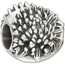 Load image into Gallery viewer, Chrysanthemum - 2010-3212
